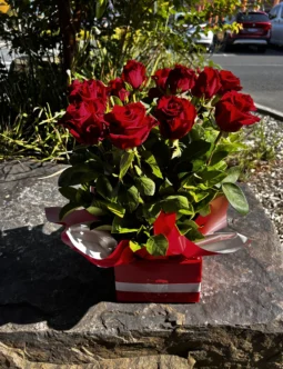 Dozen Red Roses Arrangement