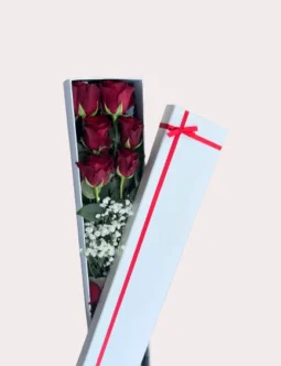 Half Dozen Red Roses in Presentation Box