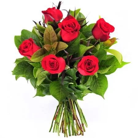 Valentine's Day