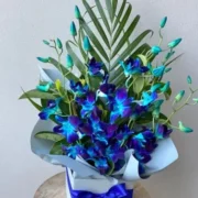 Blue-Orchis-in-box.webp