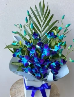 Orchid Arrangement