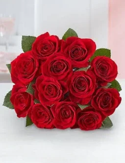 One Dozen Just Red Roses Bouquet