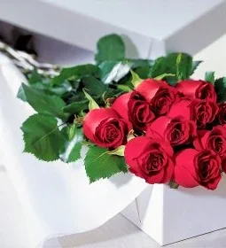 12 Ever Red Roses in a Box – Valentine’s Day  Special