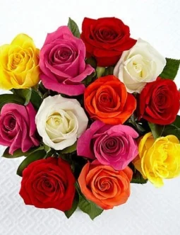 Colorful Roses Bouquet -Valentine's Day Special