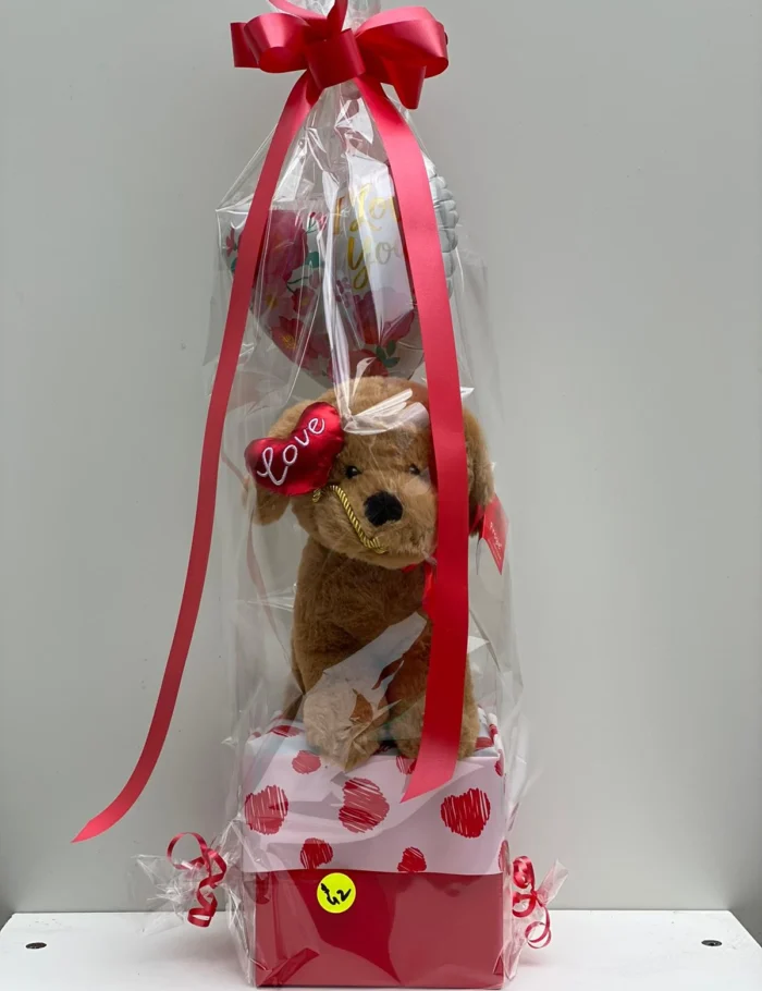Hamper-Doggy-Balloon-.webp