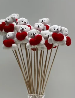 Teddy Pick