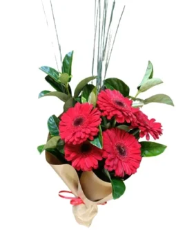 Red Gerbera Bouquet