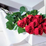 products-12-roses-in-a-box.webp
