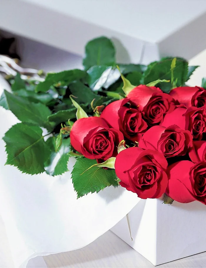 products-12-roses-in-a-box.webp